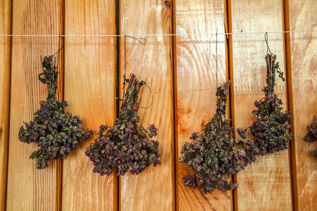 herbs hanging over wooden backgroundの写真素材