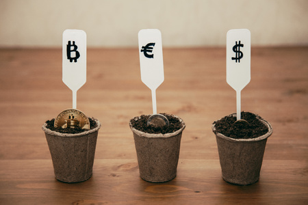 different currency in pots for seedlingsの写真素材