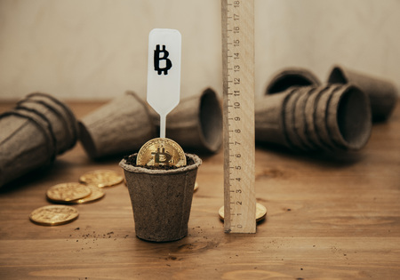 different currency in pots for seedlingsの写真素材