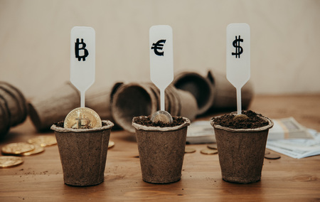 different currency in pots for seedlingsの写真素材
