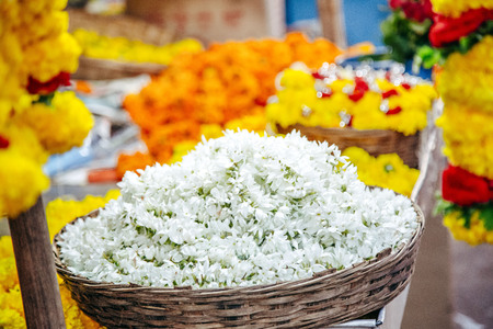 woman chooses a wreath of flowers in the market at Indiaの写真素材
