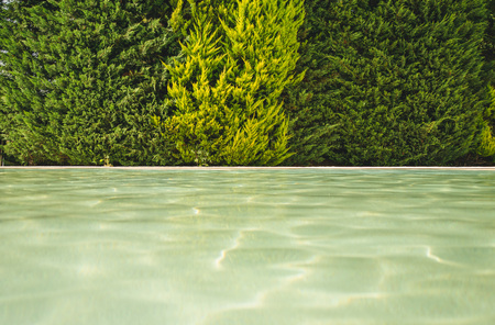 blue water in the pool on the background of a wooden floor with green treeの写真素材