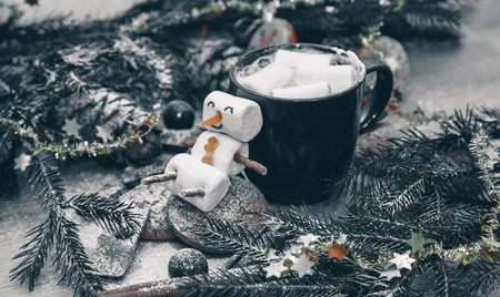 Christmas happy marshmallow man in a cup of coffeeの写真素材