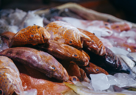 Fish in the Asian marketの写真素材