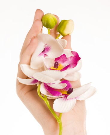 women's body part isolated on white backgroundの写真素材