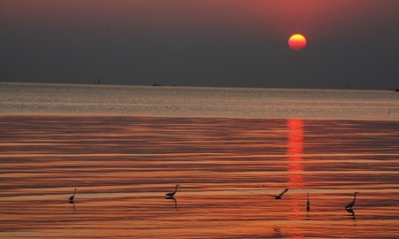 Sun Set at Bang-Poo , Thailandの写真素材