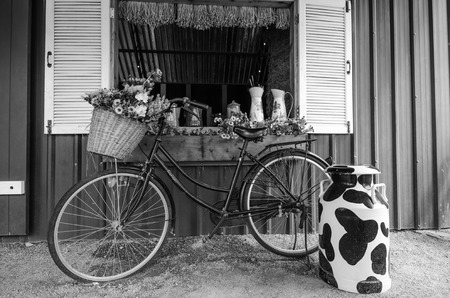Vintage bicycle with flower. Black and white styleの写真素材