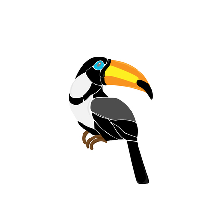 Toucan on a branchのイラスト素材