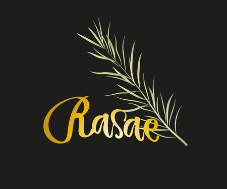 set design templates golden logo and emblems - herbs and spices. Different spices icon. Logos in trendy linear style isolated on white backgroundの写真素材