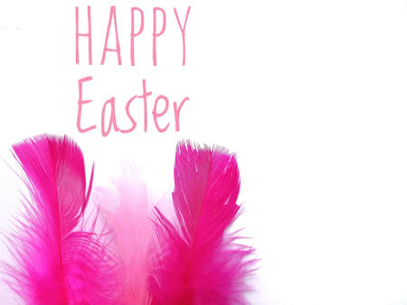 Easter Card template with pink feathersの素材