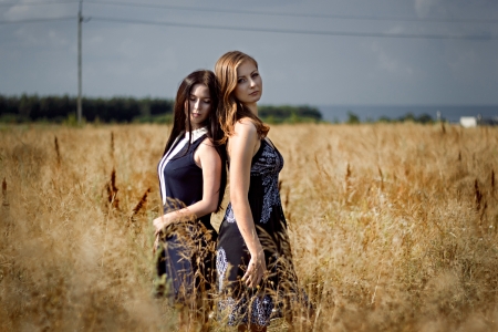 Two beautiful girls standing in cornfieldの写真素材