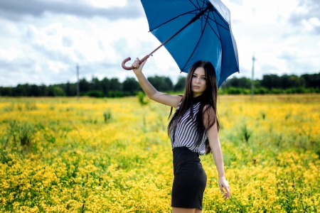 Slim girl standing with blue umbrella in yellow flowers fieldの写真素材