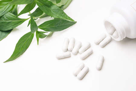 Andrographis paniculata powder capsule and Andrographis paniculata or Fah Talai jhon on white background.Andrographis paniculata is medicinal plants used traditionally for the treatment of diseases such as cancer, covid19 or corona virusの写真素材