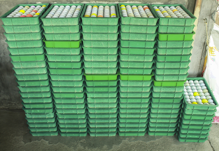 Golf ball in the basket, plastic, for customers to buyの写真素材