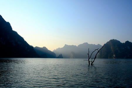 Sunrise at the lake and dead trunk