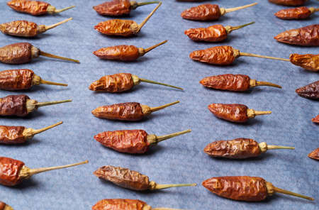 Dried red chili pattern on top viewの写真素材