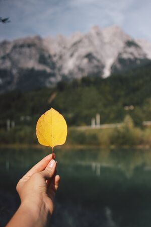 Woman holding a yellow leaf in the hand on a background of blue lake and the Alps