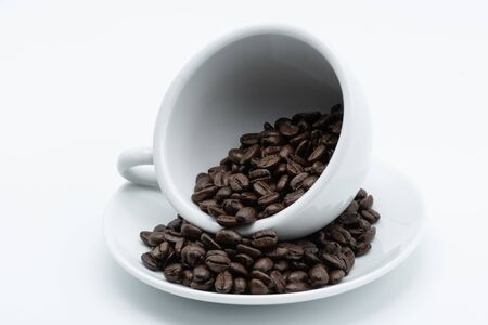 Coffee seed in a white ceramic cup on a white backgroundの写真素材
