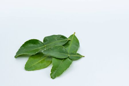 Kaffir lime leaves isolated with white backgroundの写真素材