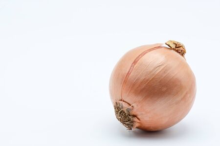 Organic onion on a white backgroundの写真素材