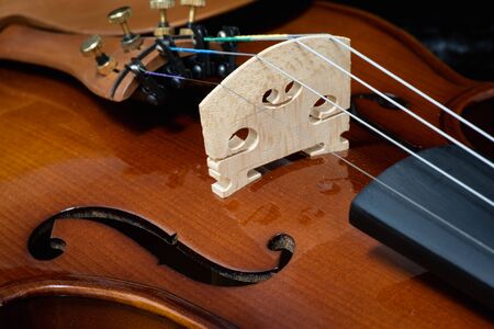 Close up of wooden violin on a dark backgroundの写真素材