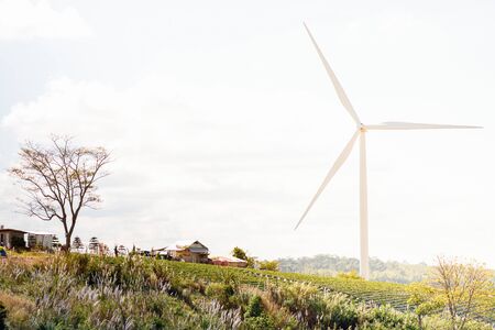 Tourist attractions in agriculture and nature with wind turbines.の写真素材