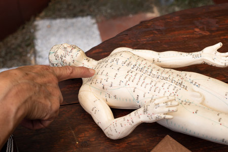 The old woman pointed to the human body acupuncture model.