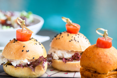 Chicken Parmesan sandwiches with vegettableの写真素材