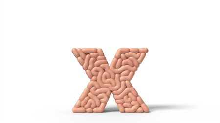 human brain in shape of letter x. suitable for brain, biology, medicine, science and font themes. 3D illustrationの写真素材