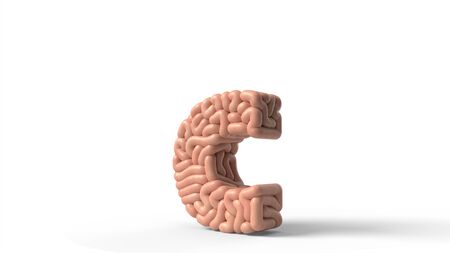 human brain in shape of letter c. suitable for brain, biology, medicine, science and font themes. 3D illustrationの写真素材
