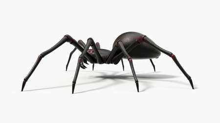 black spider with red skin details. suitable for horror, halloween, arachnid and insect themes. 3D...