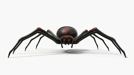 black spider with red skin details. suitable for horror, halloween, arachnid and insect themes. 3D illustration with white background.の写真素材