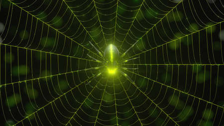 glowing green spider in the dark. waiting on web, suitable for horror, halloween, arachnid and...