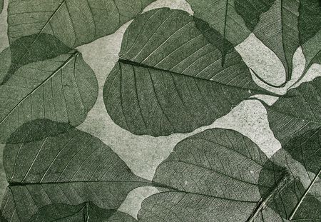 Decorative wall-paper with use of natural materialsの写真素材