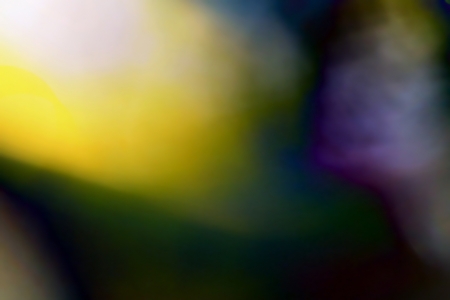 fantastic color background consisting of spots and linesの写真素材