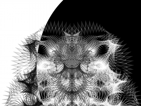 Abstract fantastic background made ââout of lines of monochromeの写真素材