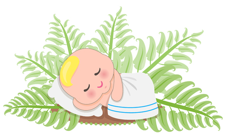 Sleep baby in the fern Isolated Illustrationのイラスト素材