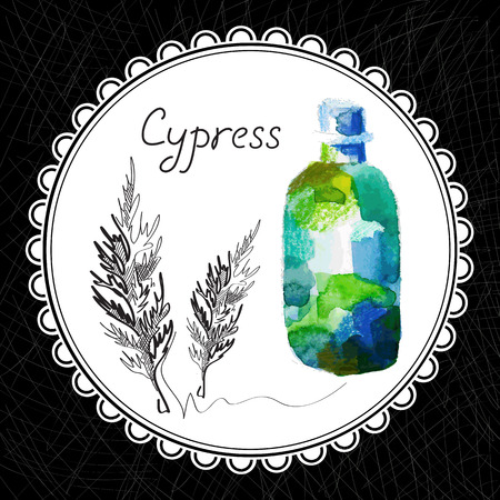 Health and Nature Collection. Aromatic cypress oil (watercolor and graphic illustration)のイラスト素材