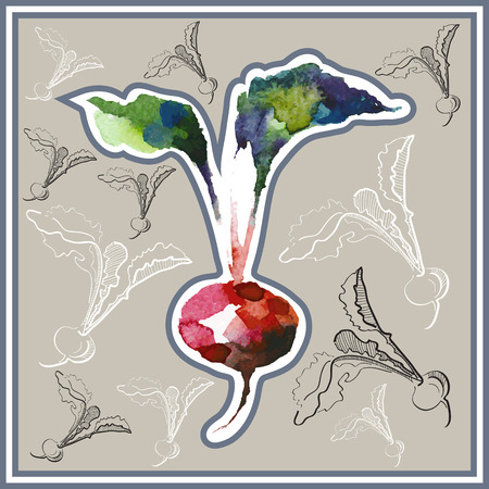 Ð¡ard (postcard) with radish  in watercolor style.のイラスト素材