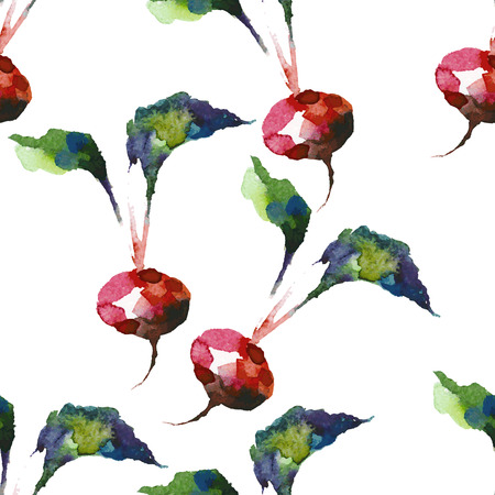Seamless pattern with radish in watercolor style.のイラスト素材