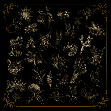 Graphic abstract decorative health and nature collection. Aromatic herbal set. Suitable for invitation, flyer, sticker, poster, banner, card,label, cover, web. Vector illustration.のイラスト素材