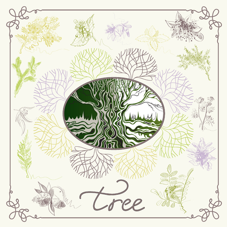 Graphic abstract decorative health and nature collection. Aromatic herbal set. Suitable for invitation, flyer, sticker, poster, banner, card,label, cover, web. Vector illustration.のイラスト素材