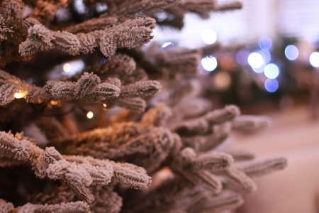 High quality photo about Christmas tree in the snow stands in the room dressed up in garlands that burn with different warm lightsの写真素材