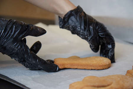 the cook makes cookies with his gloved hands and puts the finished cookies on paperの写真素材