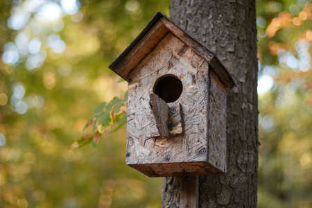 birdhouse on a branch on a tree trunk bird house in autumn in the park in the forest blurred backgroundの写真素材