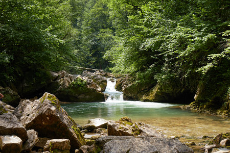 Landscape, mountain river and forest, water flowing over rocks, plants and greenery by the stream