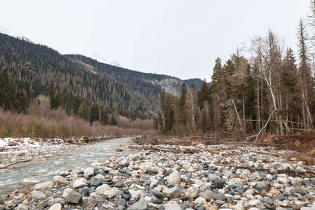 mountain landscape in winte, river and rocky shore, mountains and forest on the background, round stones, coldの写真素材