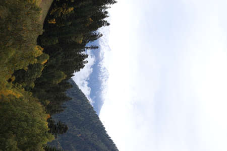 fog in the mountains, green forest and coniferous trees, slopes and ravines, landscape at duskの写真素材