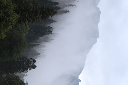 fog in the mountains, green forest and coniferous trees, slopes and ravines, landscape at duskの写真素材