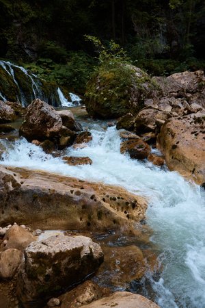 a waterfall makes its way through stones in forest, green trees and rocks, clear mountain water flows from above, mountain riverの写真素材